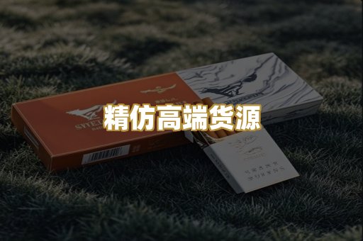 精仿高端货源